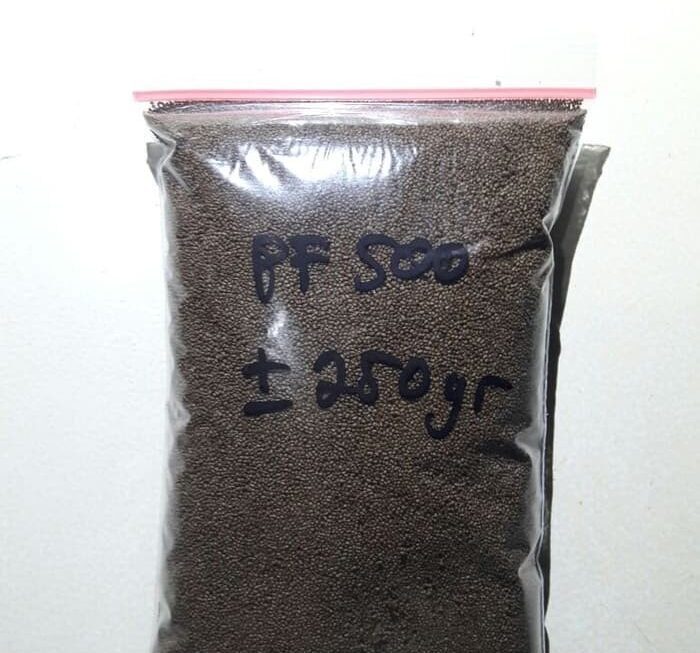 Jual TERBARU PF500 Pakan Burayak / Pakan Benih Ikan / Untuk Larva ...