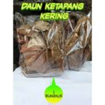 Jual daun ketapang kering ikan cupang kura kura air | Shopee Indonesia