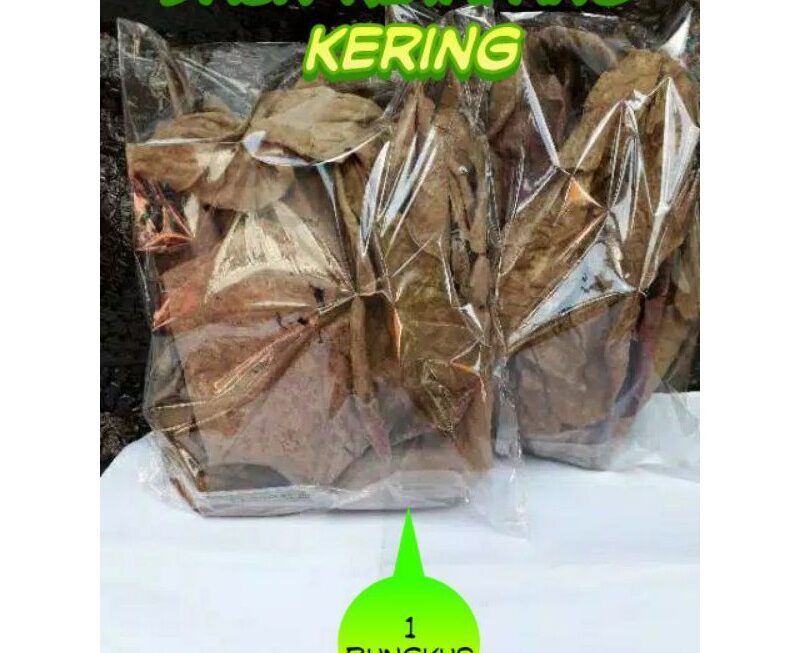 Jual daun ketapang kering ikan cupang kura kura air | Shopee Indonesia