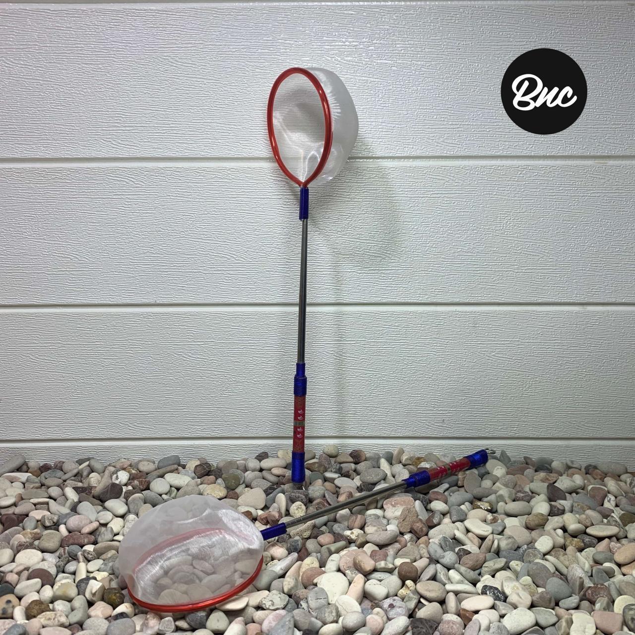 Cara Mengawinkan Ikan Cupang Panduan Lengkap untuk Pemula Cara Mengawinkan Ikan Cupang Panduan Lengkap untuk Pemula