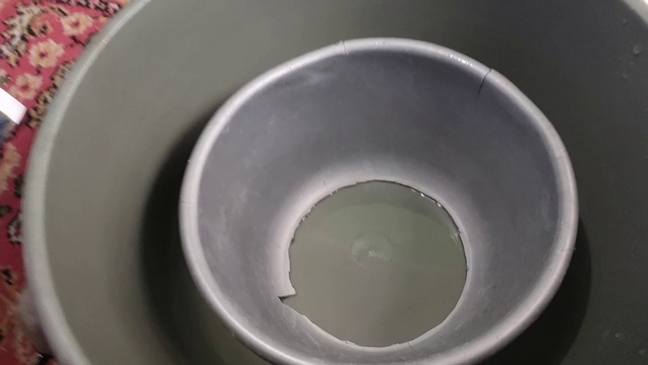 Cara Membudidayakan Ikan Cupang yang Benar Untuk Bisnis - Ajaib Cara Membudidayakan Ikan Cupang yang Benar Untuk Bisnis - Ajaib